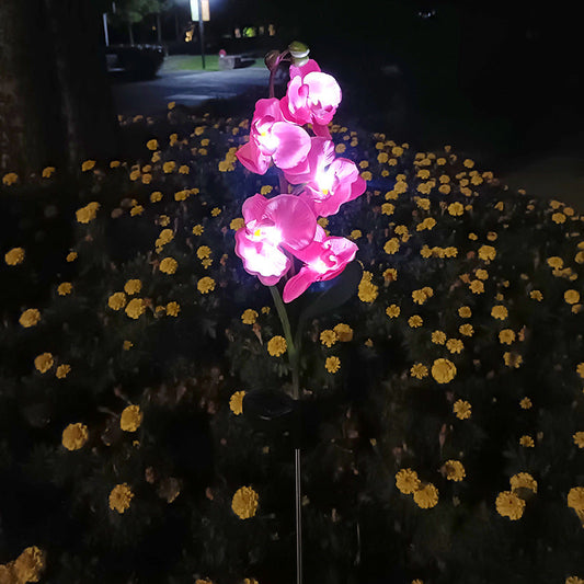 Skorter | Solar-powered orchid flower stake light