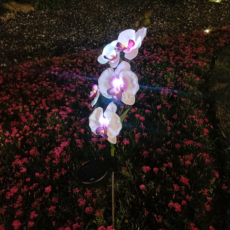 Skorter | Solar-powered orchid flower stake light