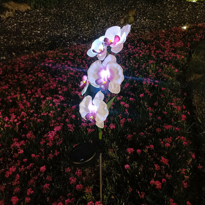 Skorter | Solar-powered orchid flower stake light