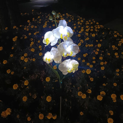 Skorter | Solar-powered orchid flower stake light