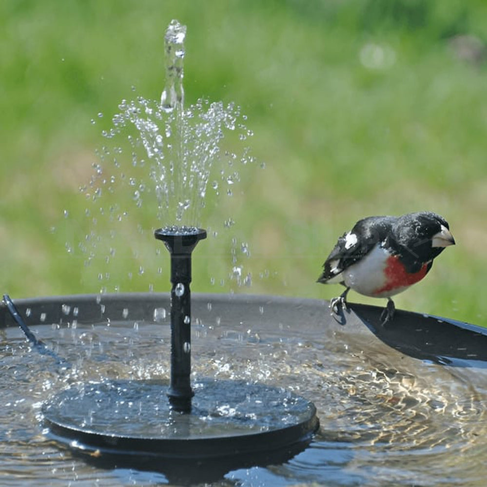 Skorter | Solar-powered outdoor water fountain kit - Great addition to your garden!