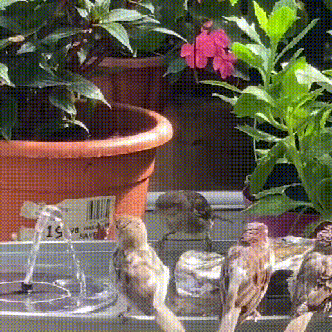 Skorter | Solar-powered outdoor water fountain kit - Great addition to your garden!