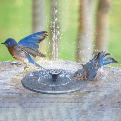 Skorter | Solar-powered outdoor water fountain kit - Great addition to your garden!