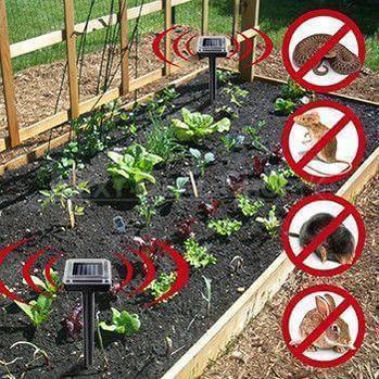 Skorter | Solar-Powered Pest Repeller - Say goodbye to moles!