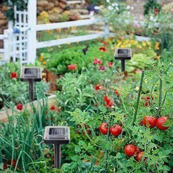 Skorter | Solar-Powered Pest Repeller - Say goodbye to moles!