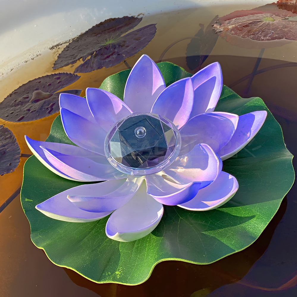 Skorter | Solar-powered Zen-garden Water Lily Floating Light