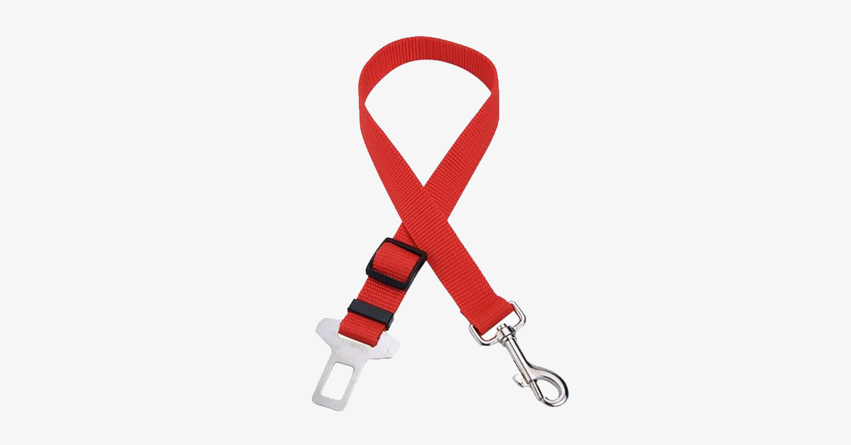 Skorter | Buckles Pet Safety Adjustable Safety Belts