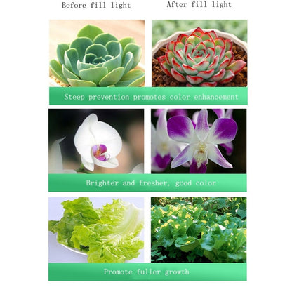 Skorter | 35w Cutout 150mm LED Full Spectrum Plant Growth Light