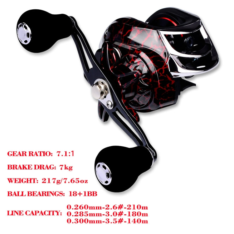 Skorter | PROBEROS Metal Drop Wheel 18+1 Axis Axis Asian Fish Wheel(DW121R Right Hand)