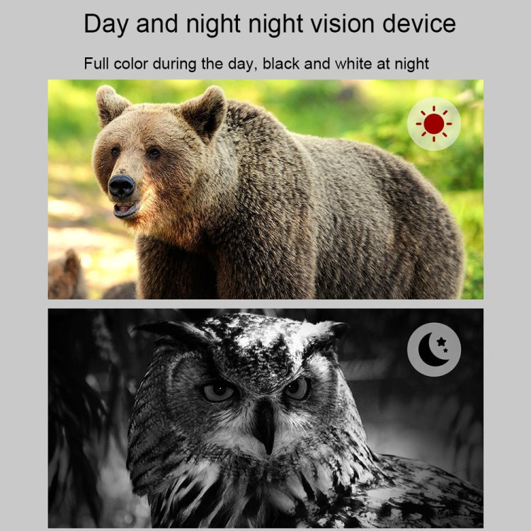 Skorter | APEXEL 3-inch LCD HD Screen Photo Video Portable Binoculars Digital Infrared Night Vision Device(APL-NV009)