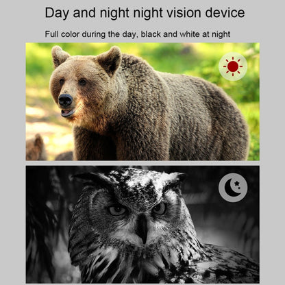 Skorter | APEXEL 3-inch LCD HD Screen Photo Video Portable Binoculars Digital Infrared Night Vision Device(APL-NV009)