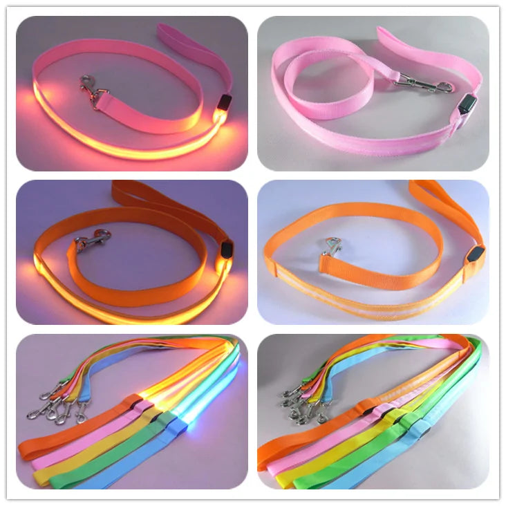 Skorter | Leash for dogs glow in the dark