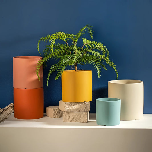 Skorter | Colorful Ceramic Plant Pots: Lively Indoor Flower Pots for Modern Decoration