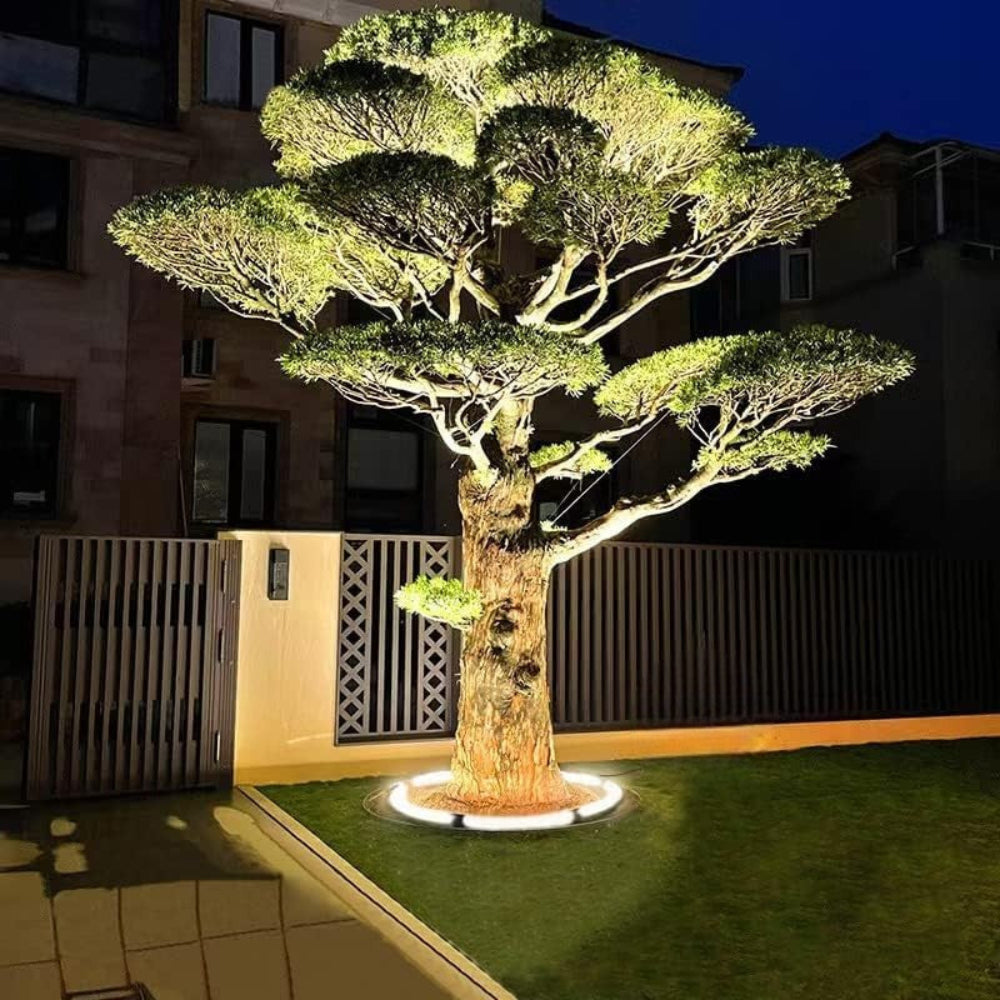 Skorter | Treelighta – Premium LED Tree Spotlight for Elegant Outdoor Lighting