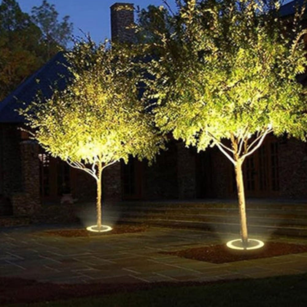 Skorter | Treelighta – Premium LED Tree Spotlight for Elegant Outdoor Lighting