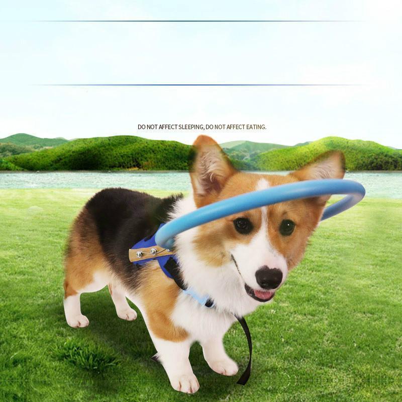 Skorter | Collar Guide For Blind Dogs Harness