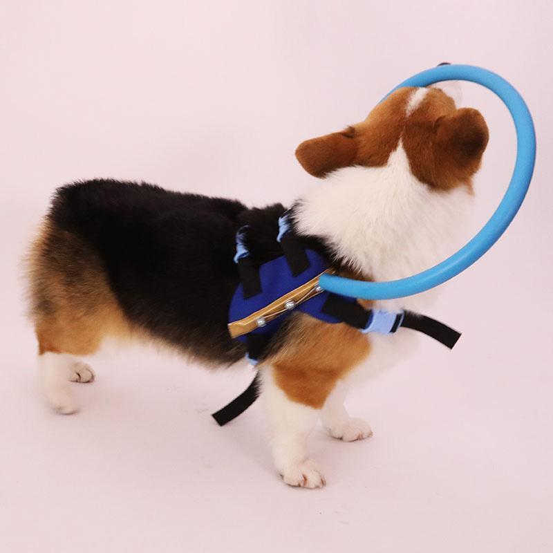 Skorter | Collar Guide For Blind Dogs Harness
