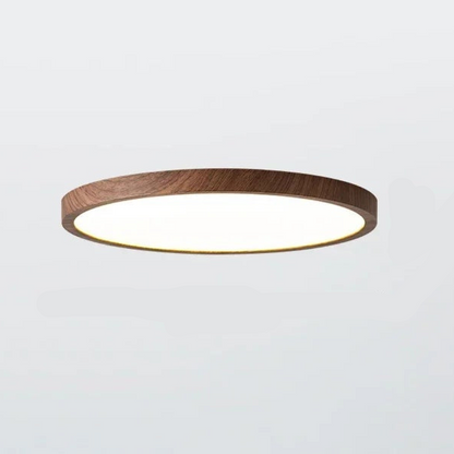 Skorter | LED Ultrathin Circular Ceiling Light Fixture - Modern Design for Living Room & Kitchen Lighting