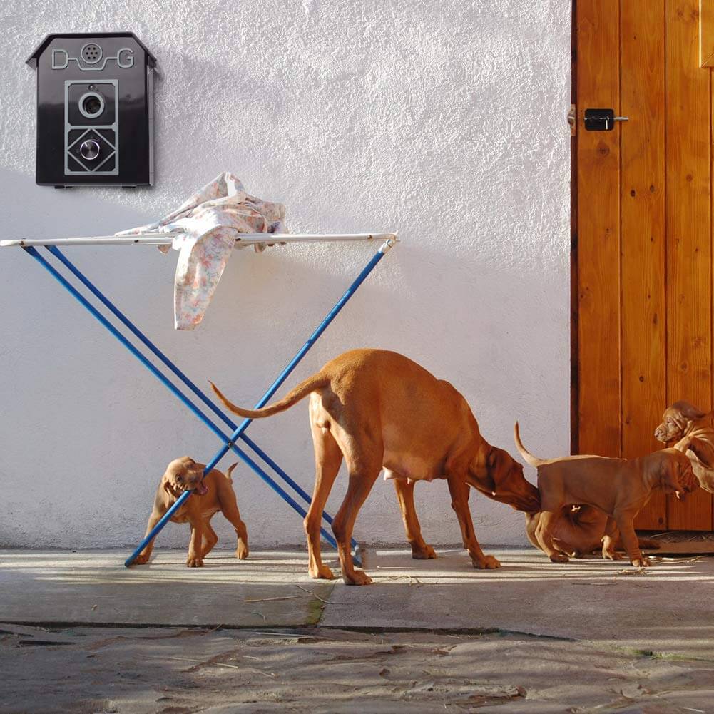 Skorter | Bark Control 50FT Range Stop Barking Device