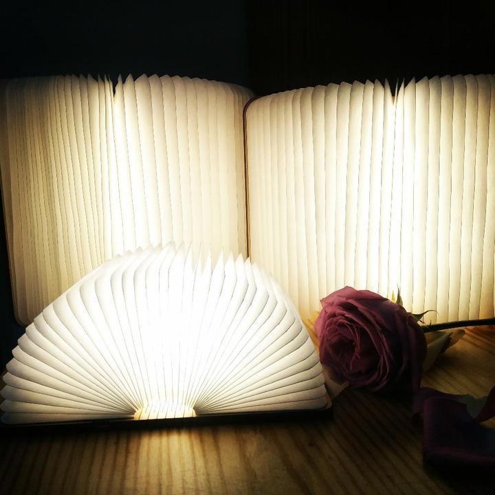 Skorter | Style LED (Folding) Book Lamp!