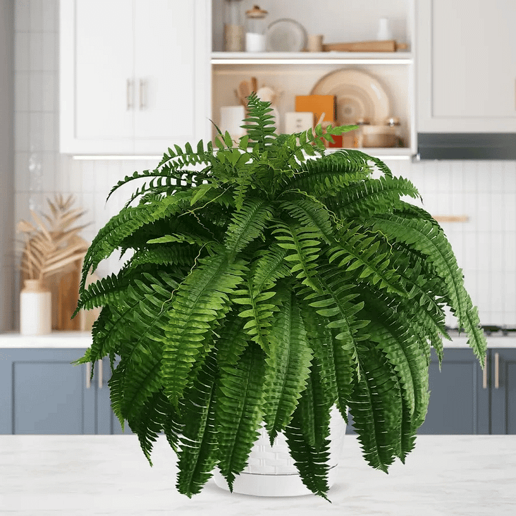 Skorter | EverGreen Boston Fern – Artificial Plant with UV Protection and Weather Resistant Design