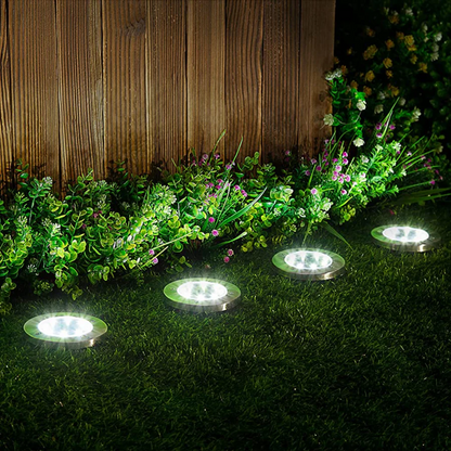 Skorter | Rechargeable Solar-Powered Lighting - EcoGlow
