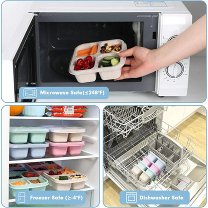 Skorter | Bento-Style 4-Compartment Meal Prep Boxes in 4-Pack – Sustainable and Practical