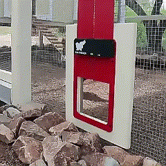 Skorter | Chicken Pen Hen Coop Poultry Door Opener
