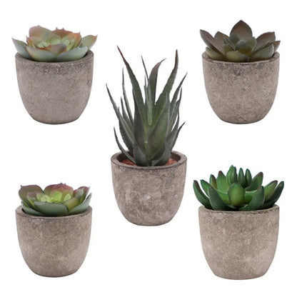 Skorter | Verdea Artificial Succulent Plant Decor