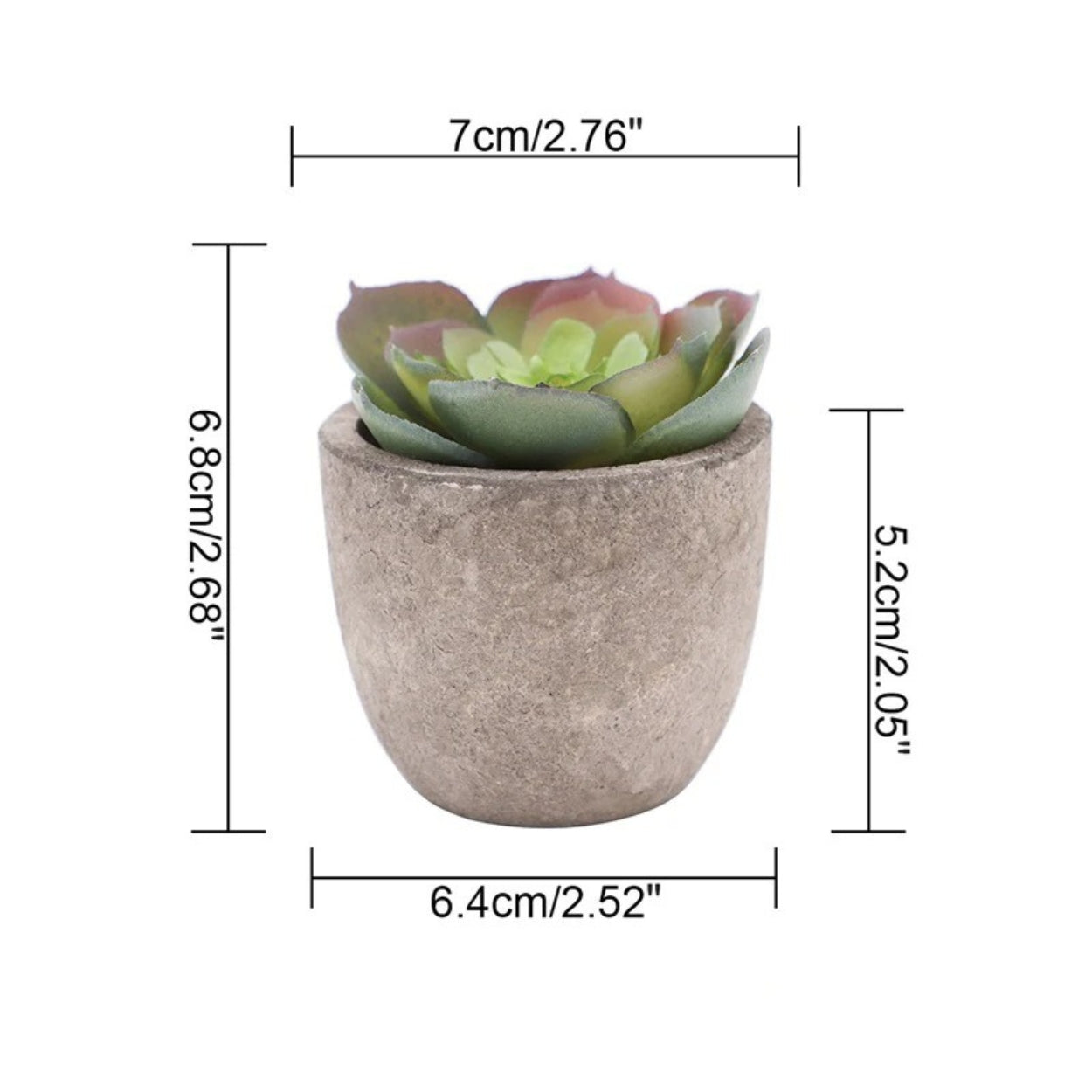 Skorter | Verdea Artificial Succulent Plant Decor