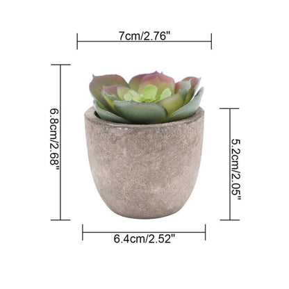 Skorter | Verdea Artificial Succulent Plant Decor