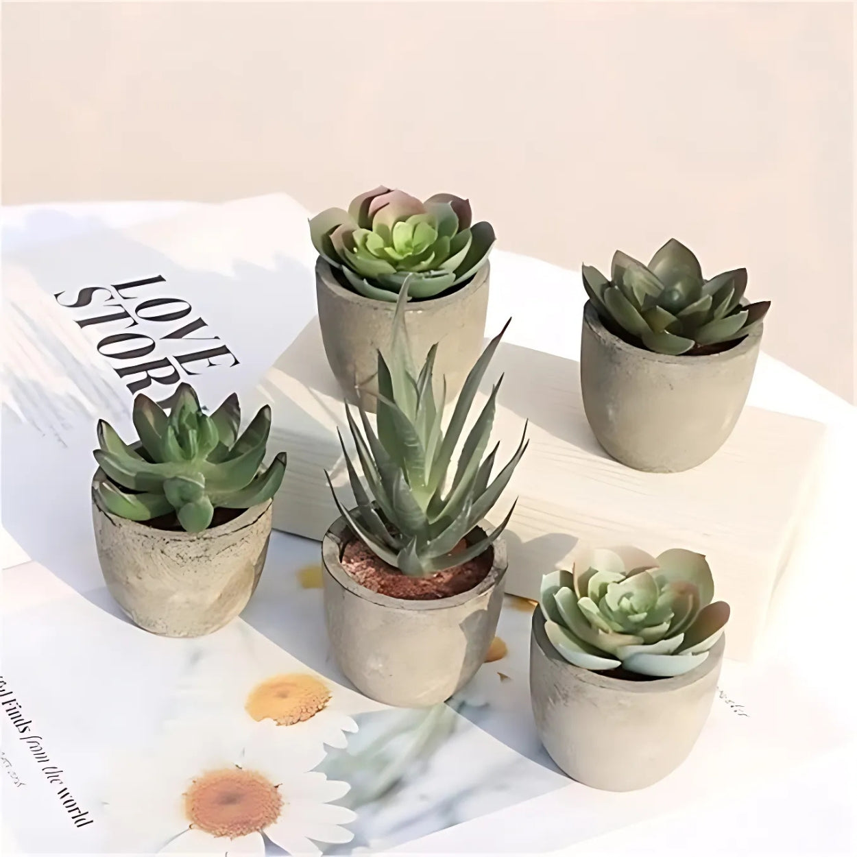 Skorter | Verdea Artificial Succulent Plant Decor