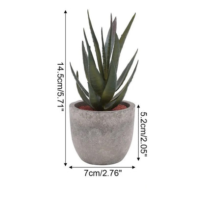 Skorter | Verdea Artificial Succulent Plant Decor