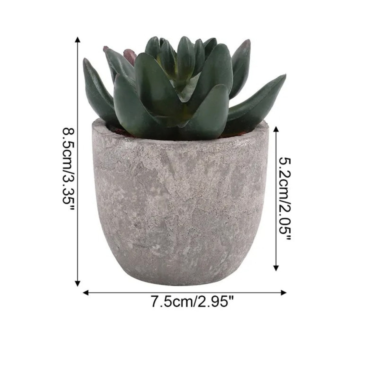 Skorter | Verdea Artificial Succulent Plant Decor