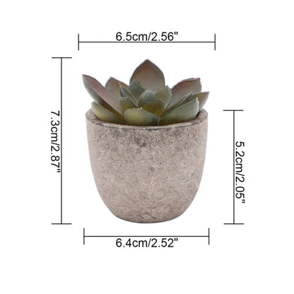 Skorter | Verdea Artificial Succulent Plant Decor