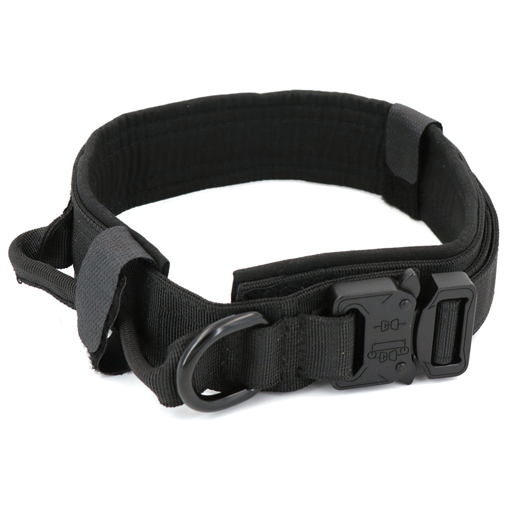 Skorter | Dog collar