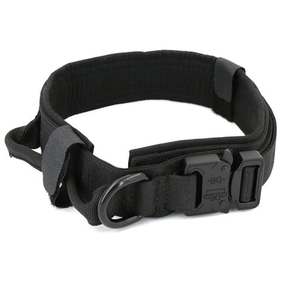 Skorter | Dog collar