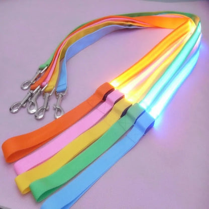 Skorter | Leash for dogs glow in the dark