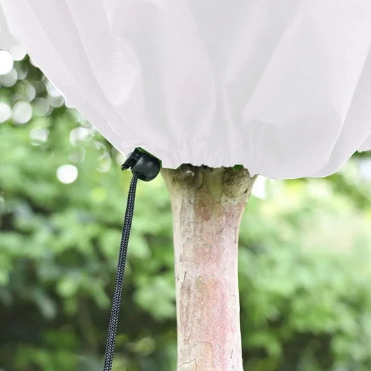 Skorter | COEN – Simple and eco-friendly cover