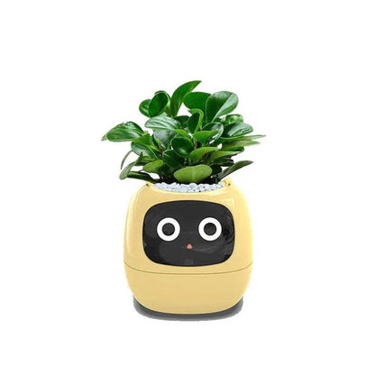 Skorter | AI flower pot