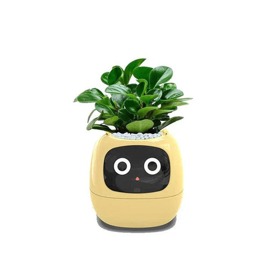 Skorter | AI flower pot