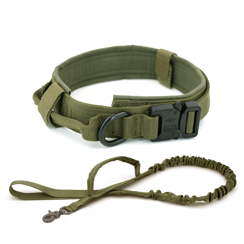 Skorter | Dog collar