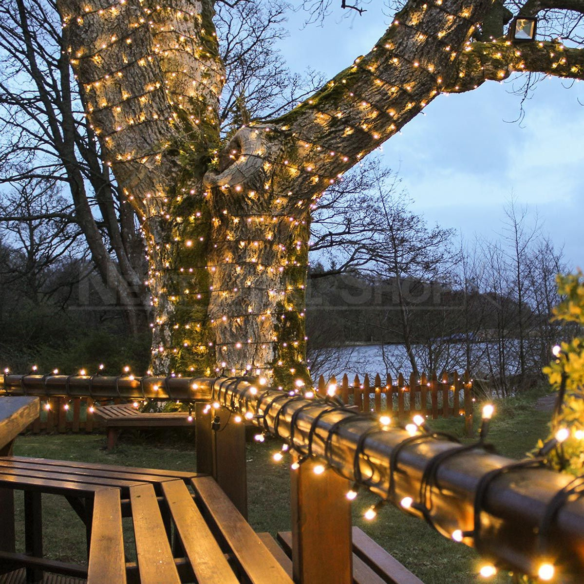 Skorter | XMAS Solar Powered LED Fairy Lights