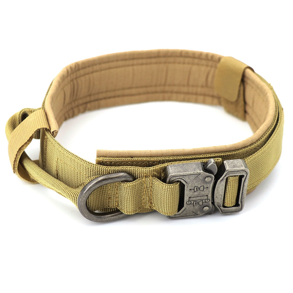 Skorter | Dog collar