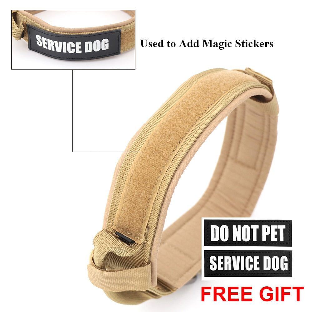 Skorter | Dog collar