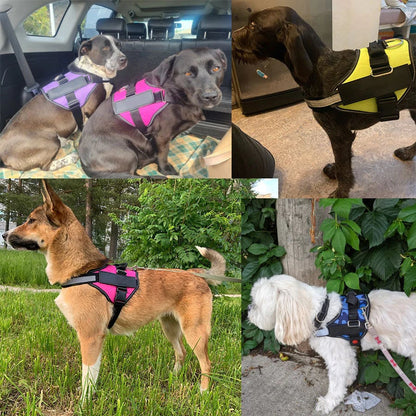 Skorter | Anti Choke Dog Harness