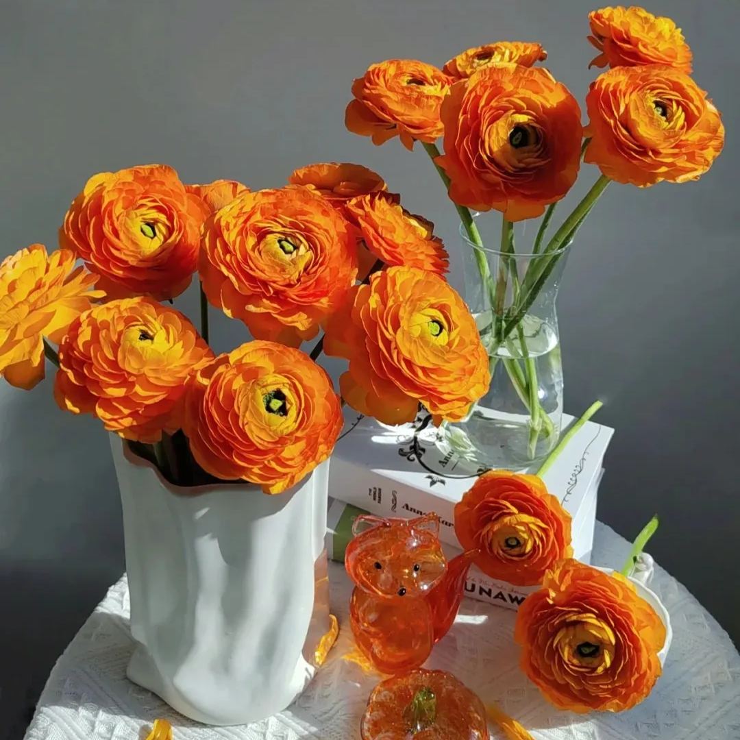 Skorter | Multicolor Ranunculus Asiaticus Bulbs