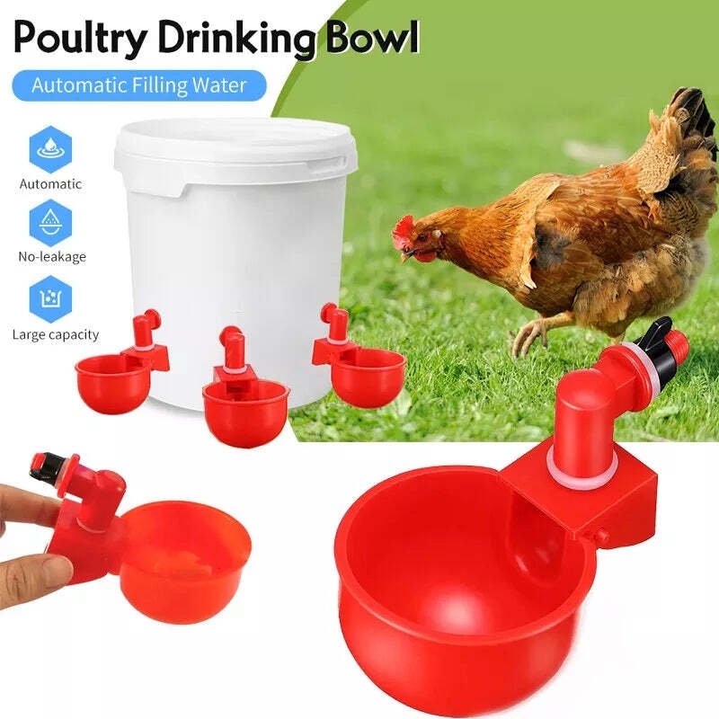 Skorter | Automatic Chicken Water Cup Bird Coop