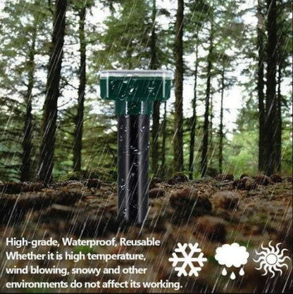 Skorter | Rejector On Solar Energy - Muse Moser Hoses