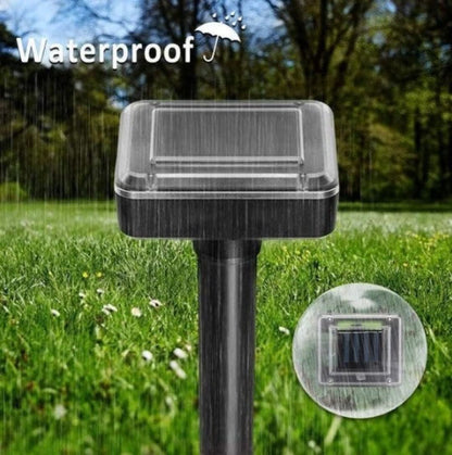 Skorter | Rejector On Solar Energy - Muse Moser Hoses